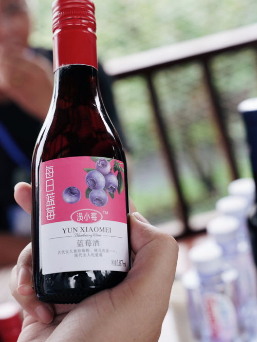 湖北安陸趙棚鎮(zhèn) 小藍(lán)莓帶村民脫貧致富,昔日荒山成金山銀山