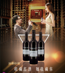 青島華銀商品流通板塊紅酒眾籌啟動 --新形勢下商品流通的轉型升級 _國內新聞_環(huán)球網(wǎng)