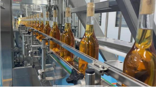 青島紫斐:匠心筑夢,打造藍(lán)莓酒界的中國&ldquo;拉菲&rdquo;