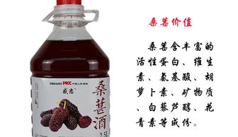 感戀楊梅果酒藍(lán)莓桃花釀荔枝桑葚低度少女自釀水果酒10度2.5l果味