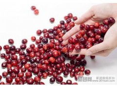 青島進(jìn)口干果清關(guān)代理公司 青島進(jìn)口紅酒代理清關(guān)公司